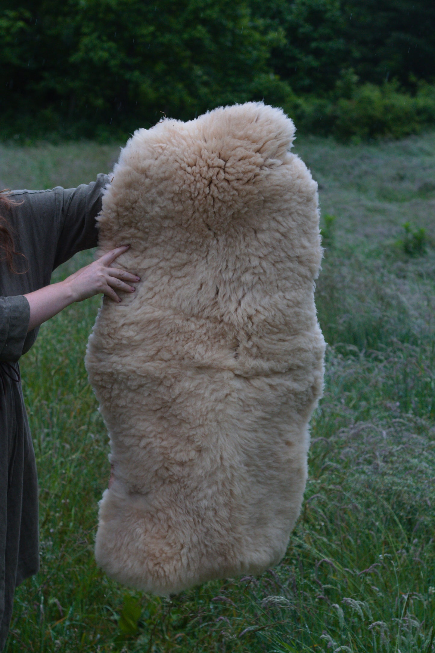 Sheepskin - short & dense
