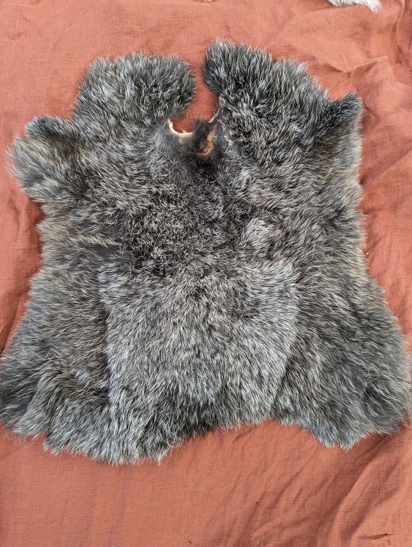 Salt and pepper rabbit fur