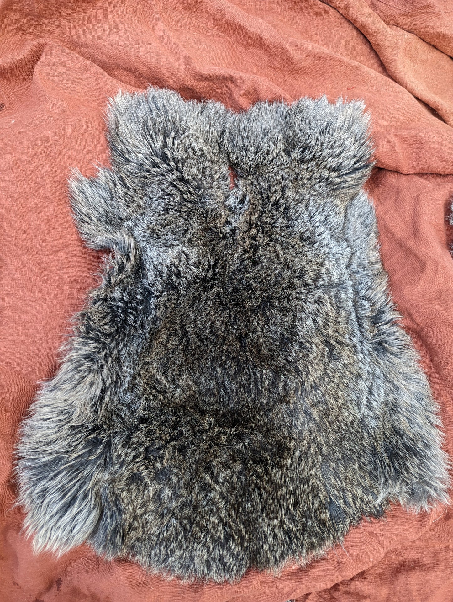 Dark grey and gold rabbit fur