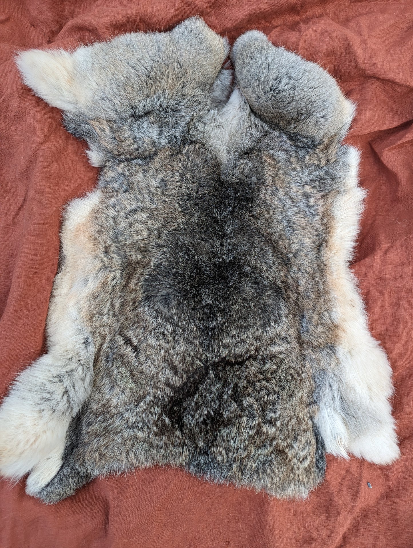 Silver and white rabbit fur