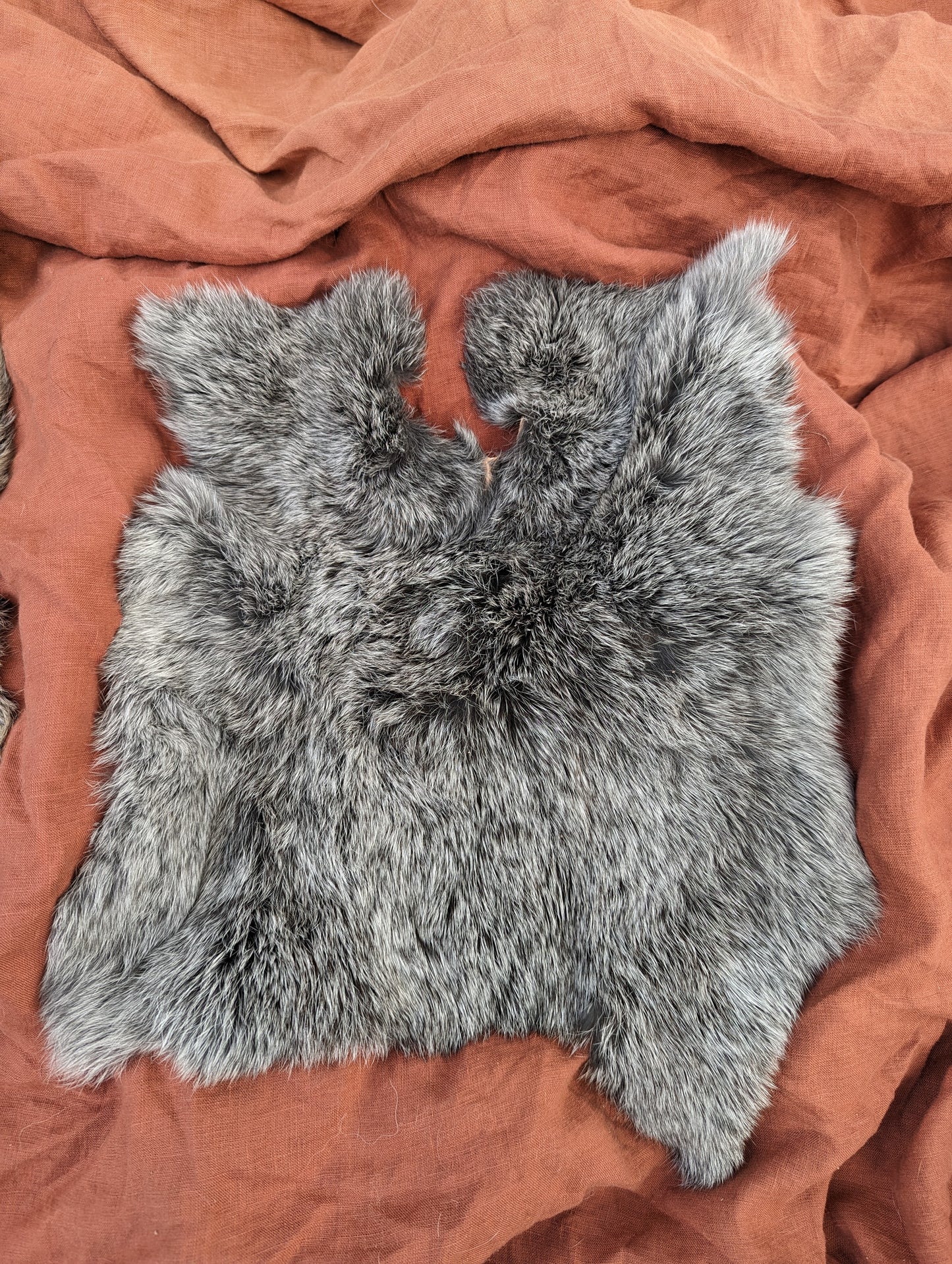 Salt and pepper #2 rabbit fur