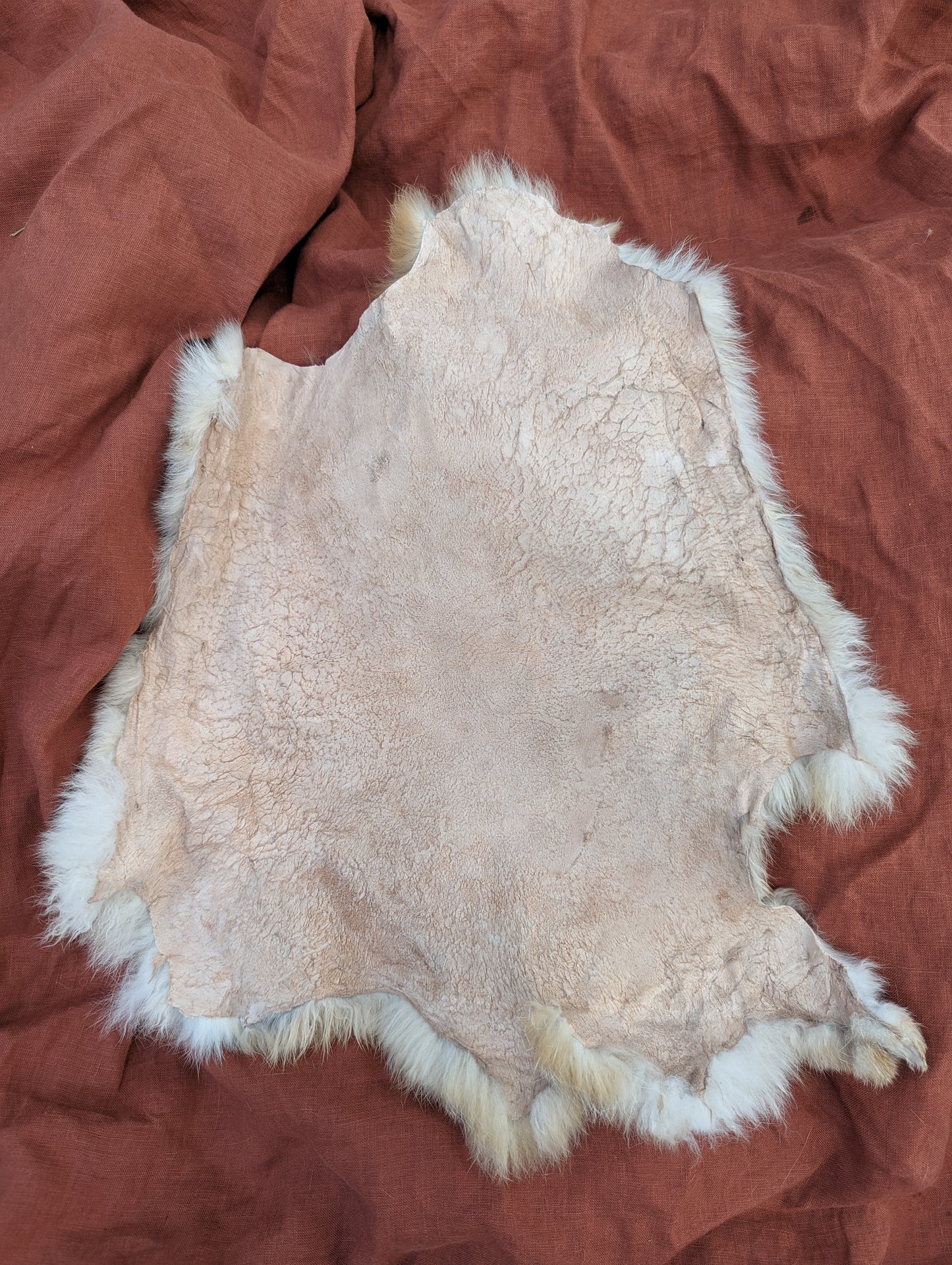 Buttercream rabbit fur