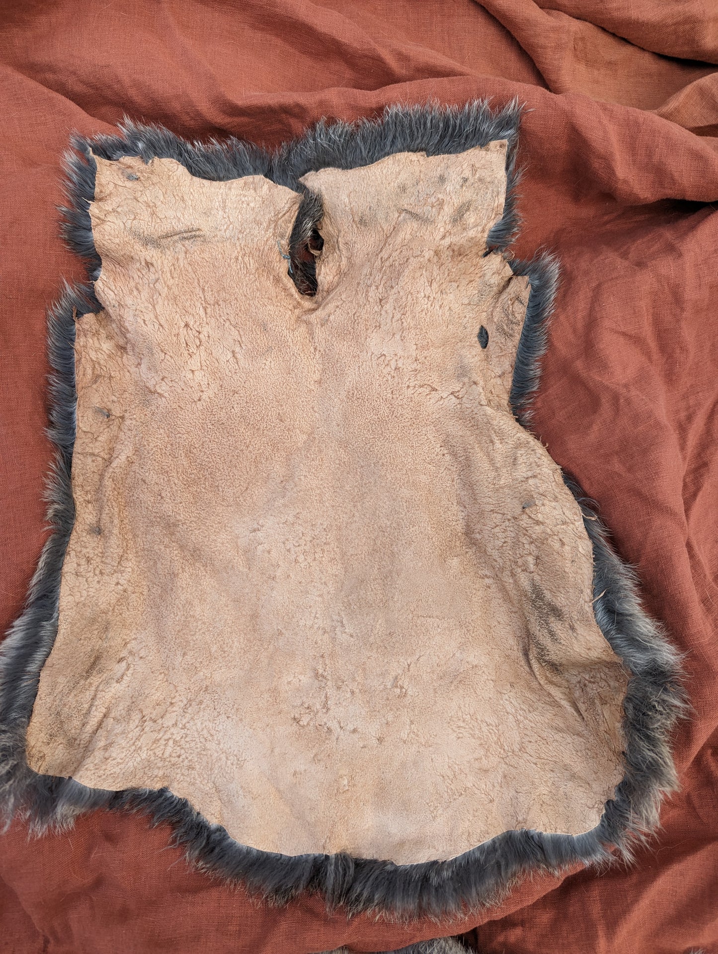 Dark grey and gold rabbit fur
