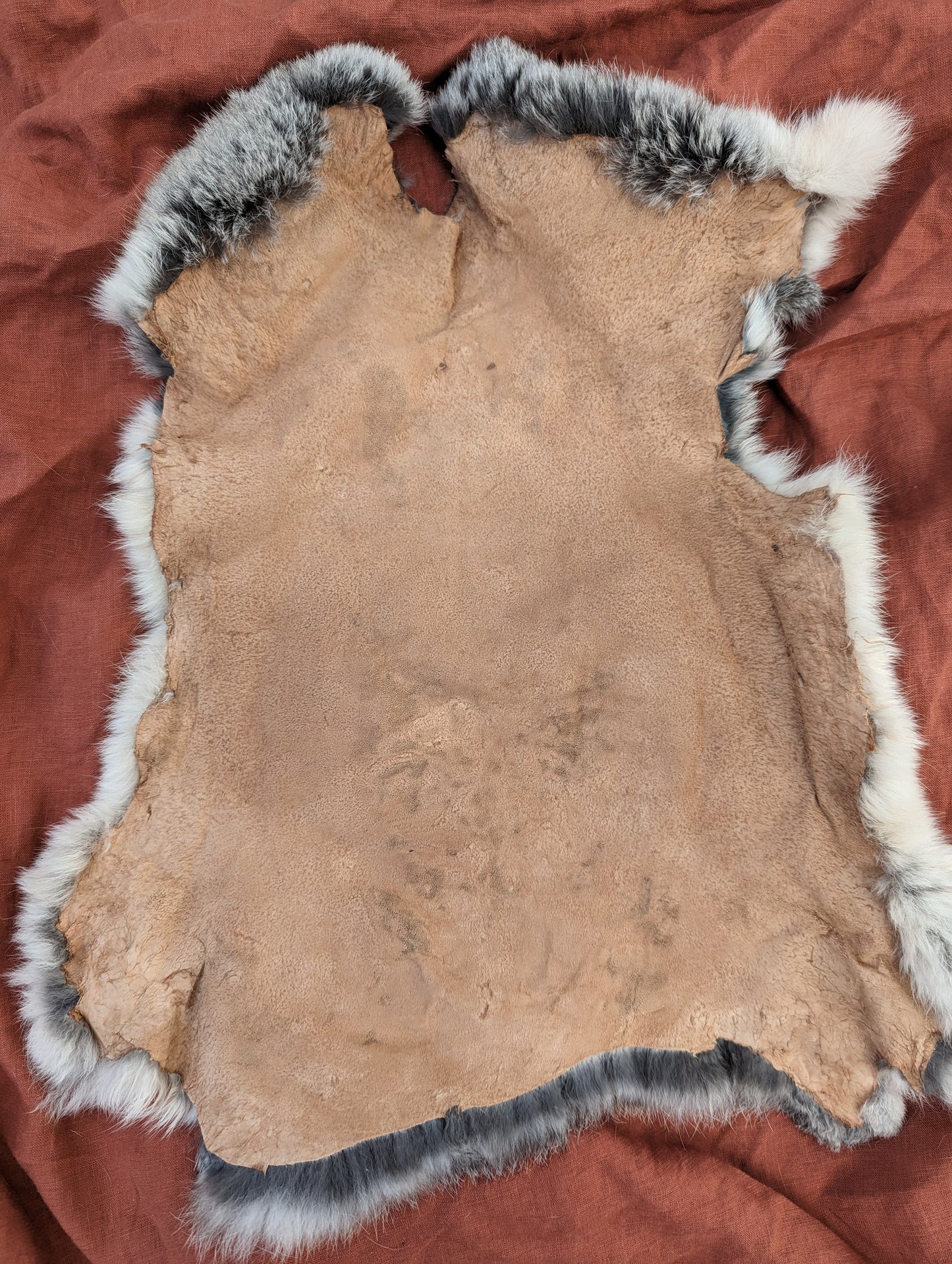 Silver and white rabbit fur