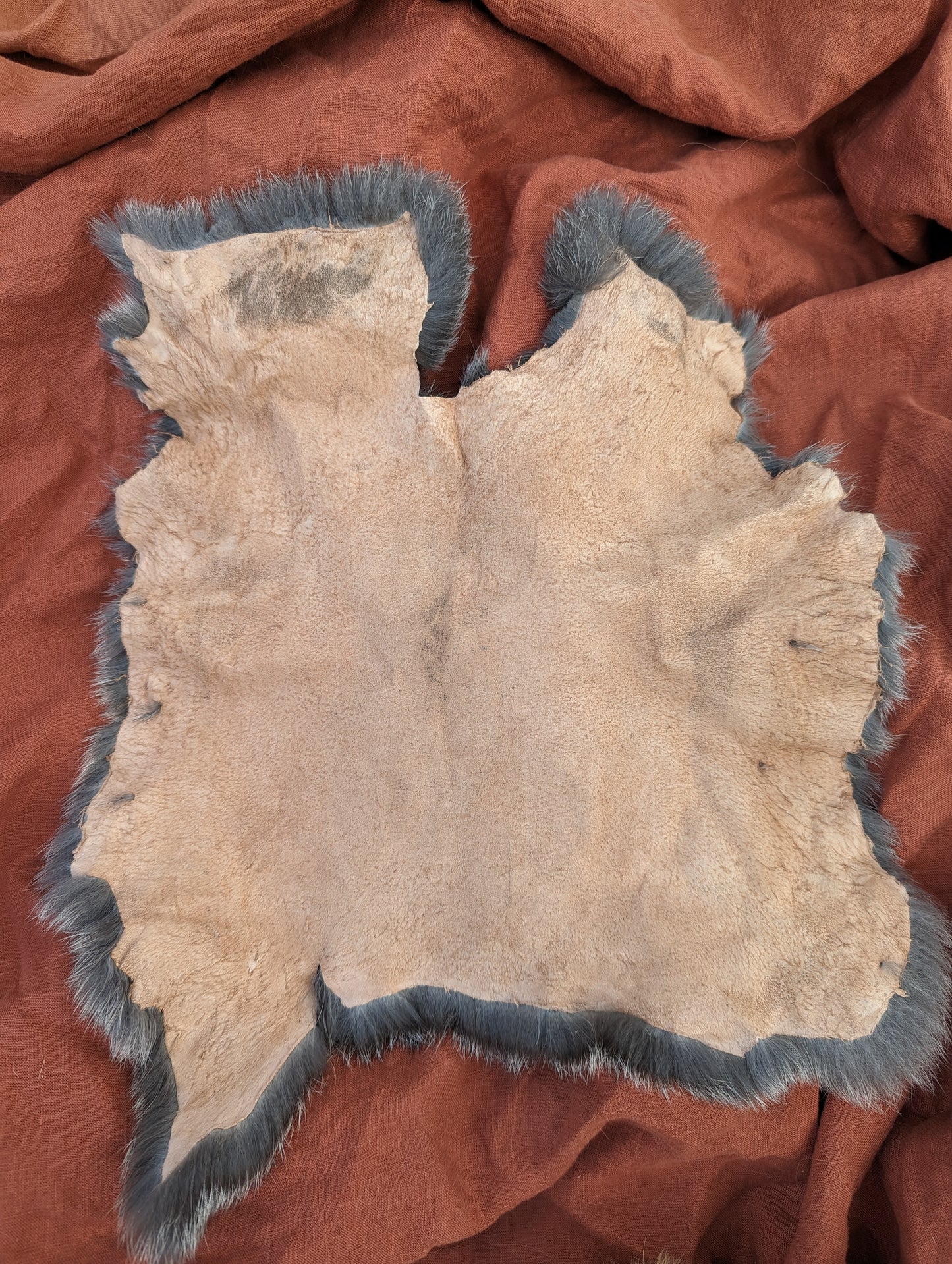 Salt and pepper #2 rabbit fur