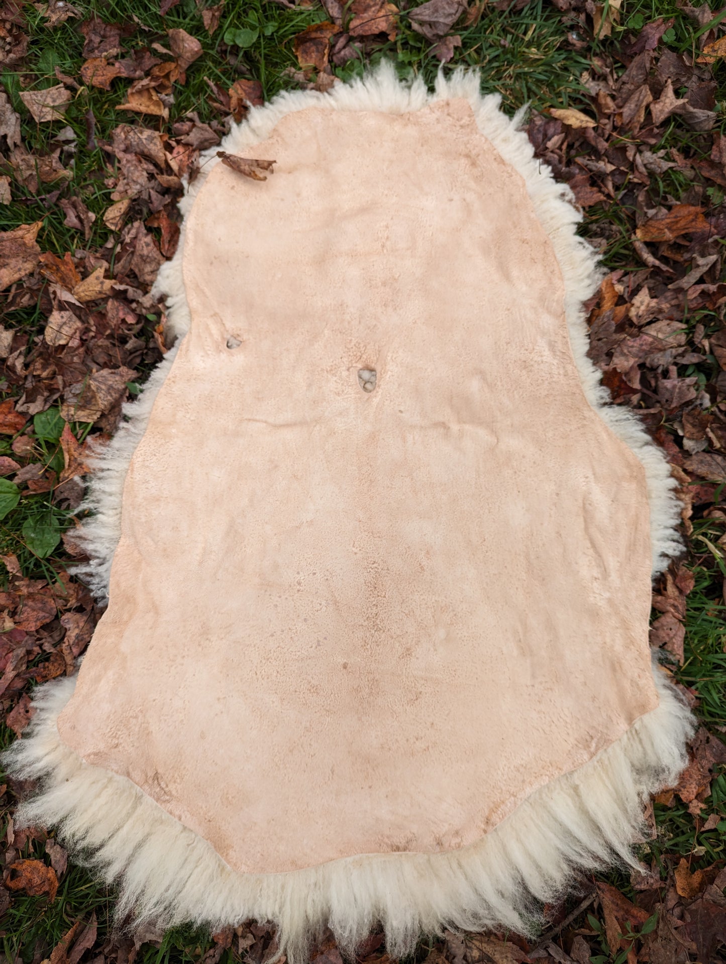 Sheepskin - funky white