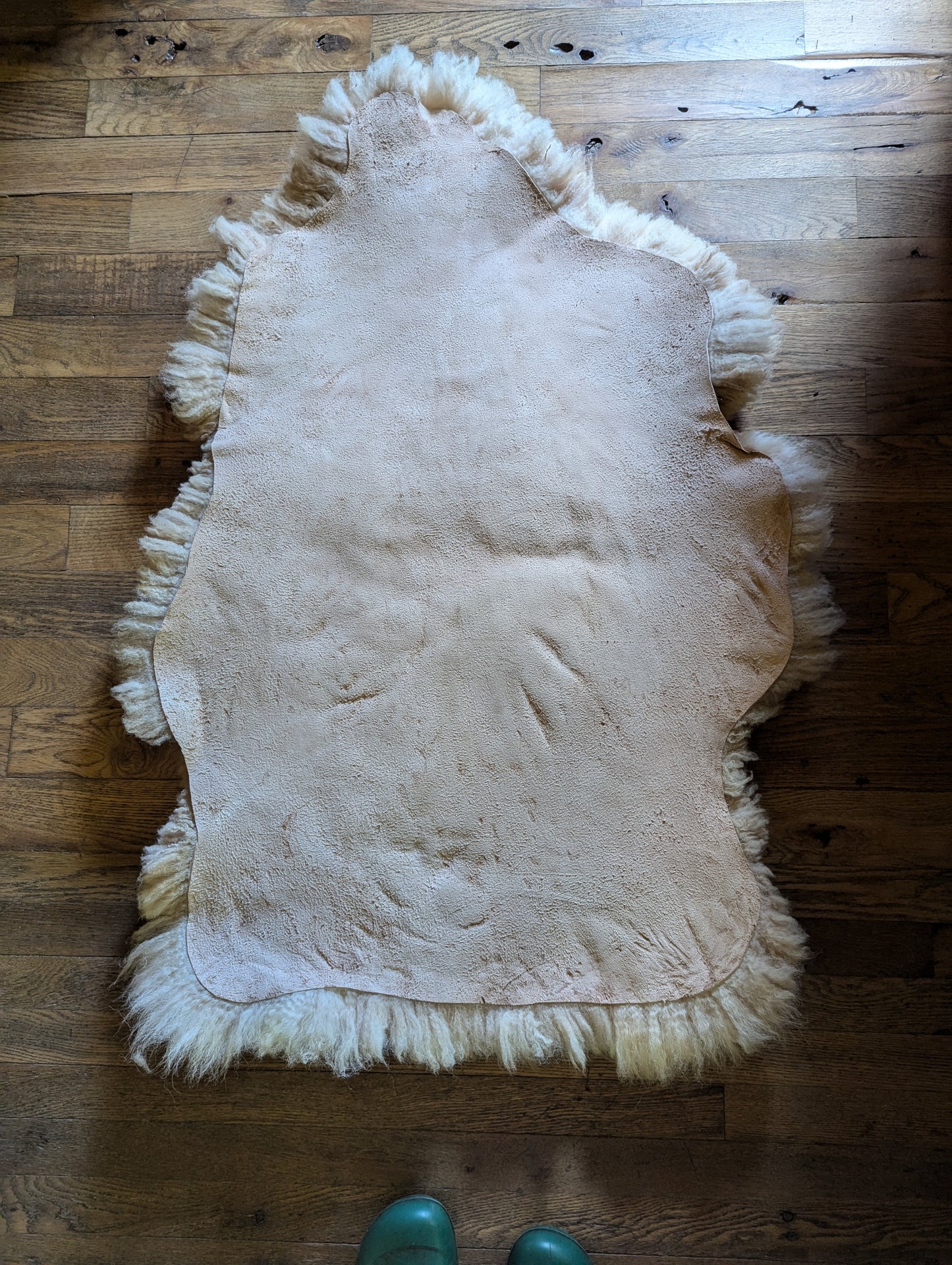 Sheepskin #1 - 27" x 41"