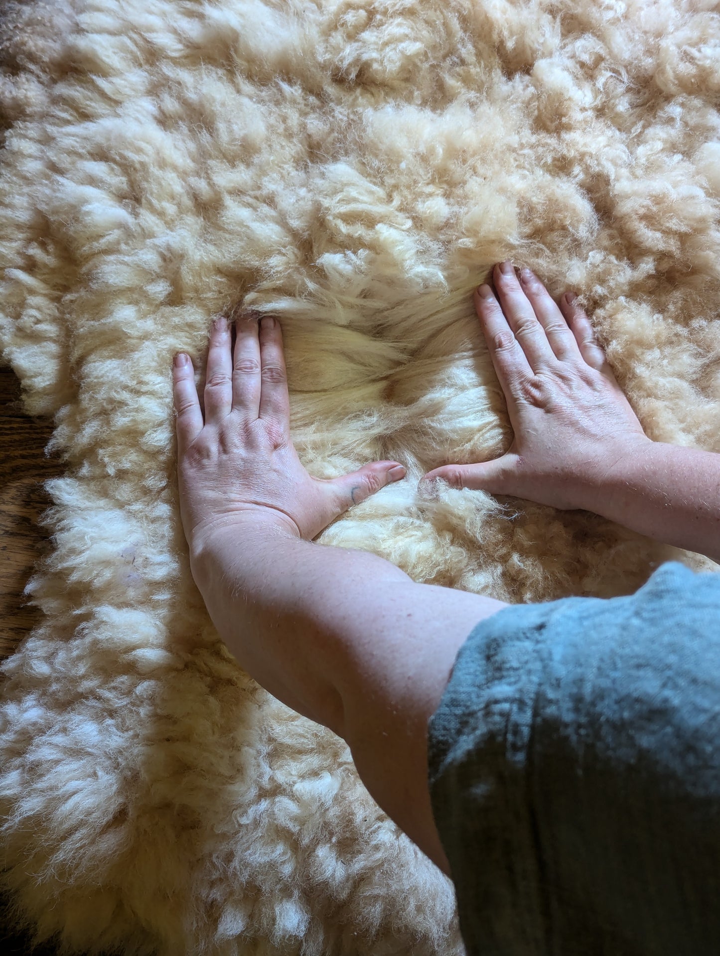 Sheepskin #1 - 27" x 41"