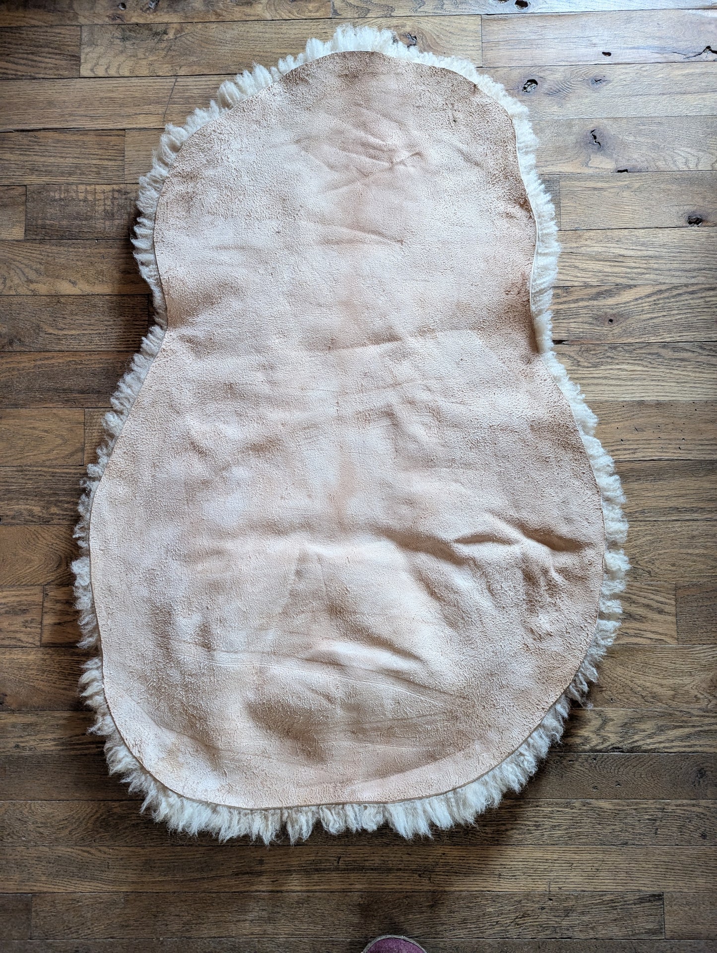 Sheepskin #5 - shearling