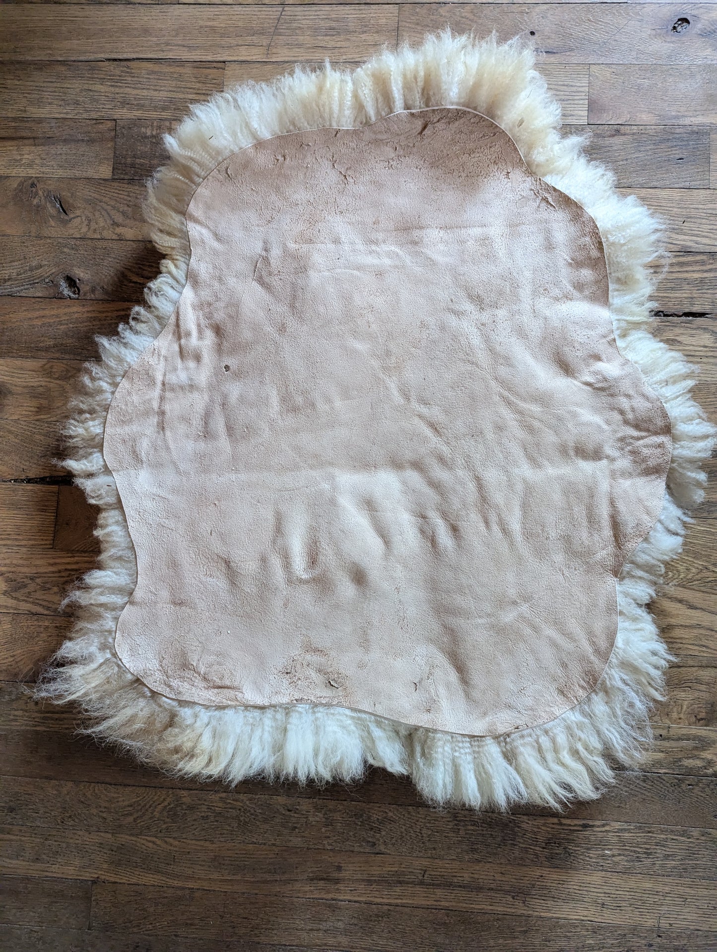 Sheepskin #1