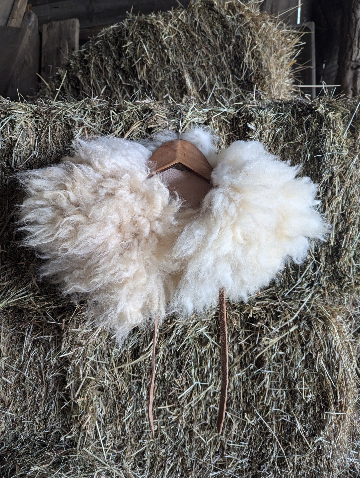 Sheepskin collar #6