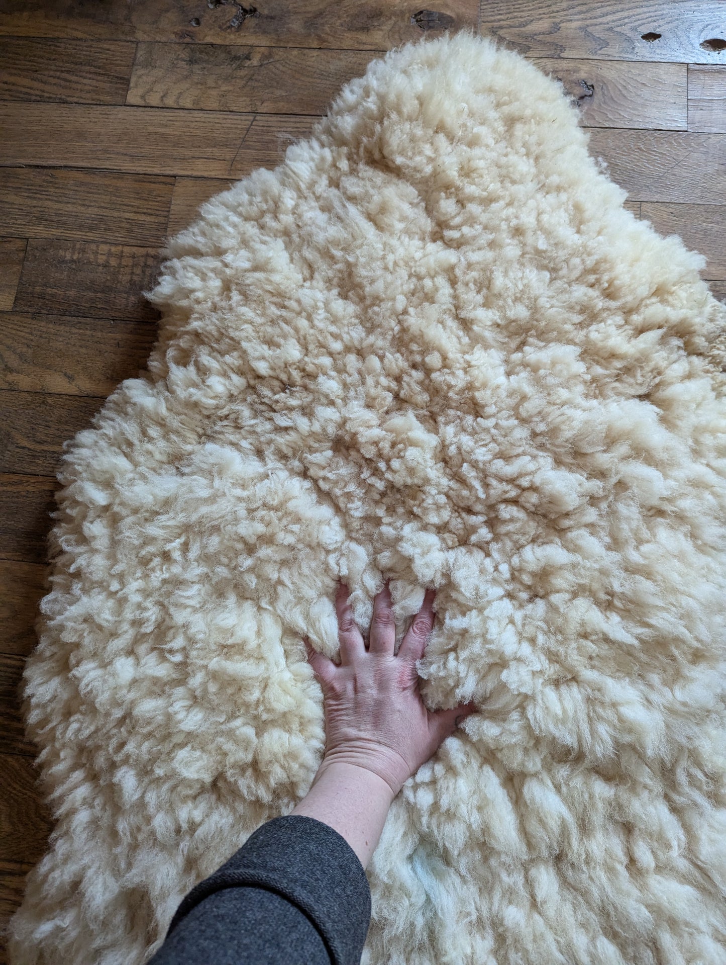 Sheepskin #2