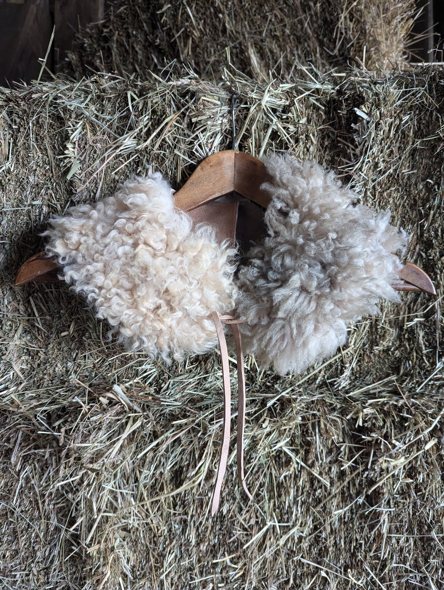 Sheepskin collar #5