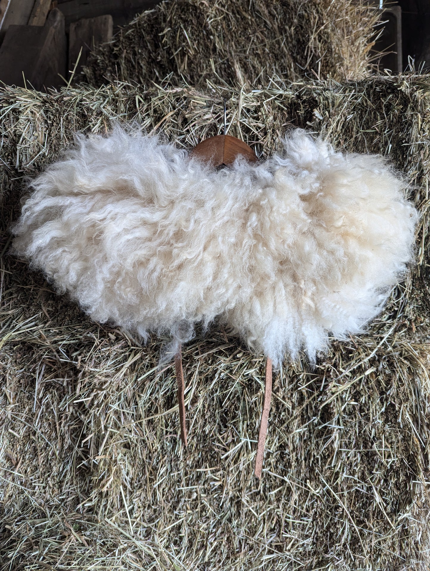 Sheepskin collar #1