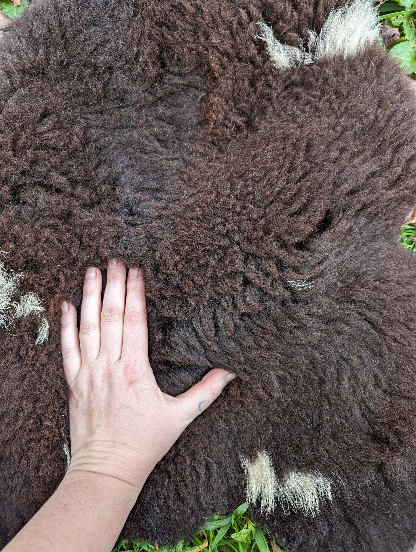 Sheepskin - small brownie