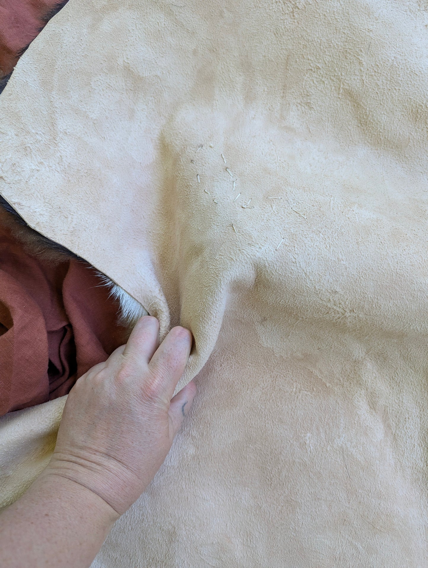 Sheepskin #5 - 20" x 29"