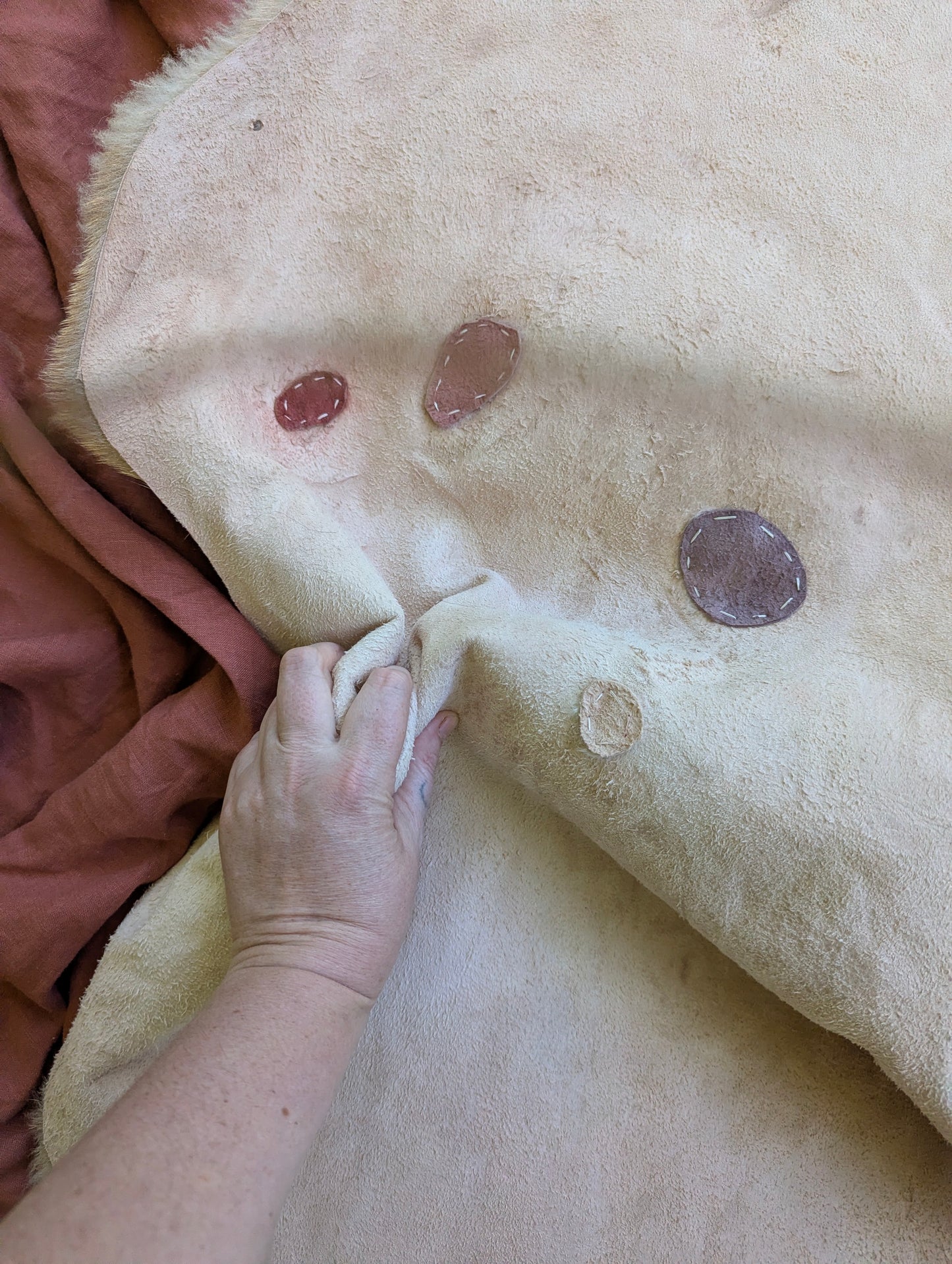 Sheepskin #6 - 18" x 28"