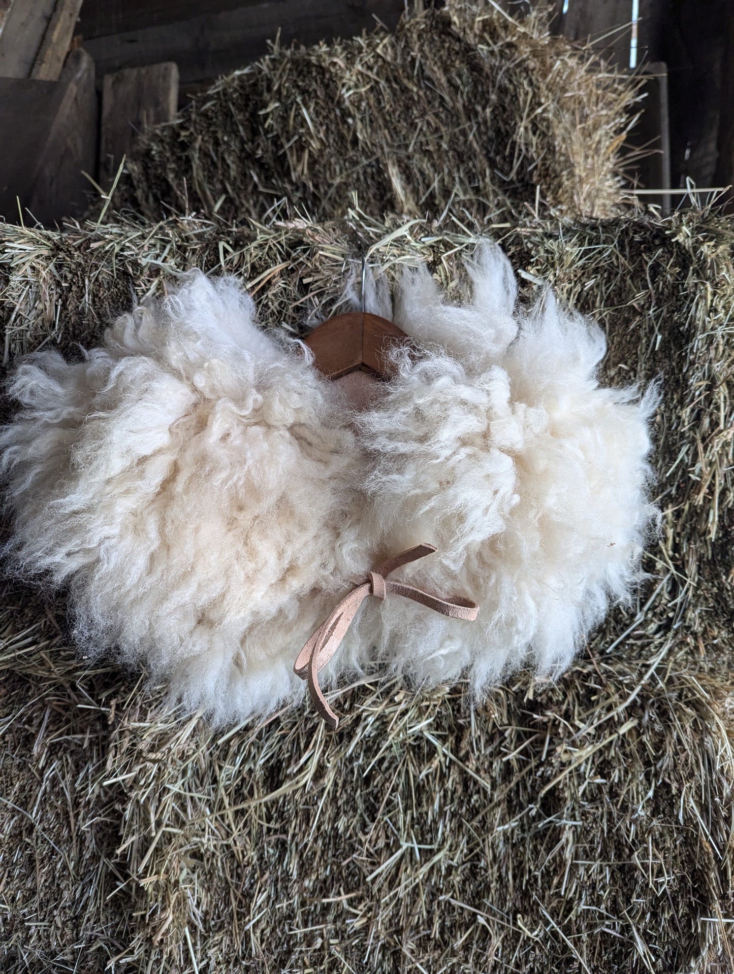 Sheepskin collar #7