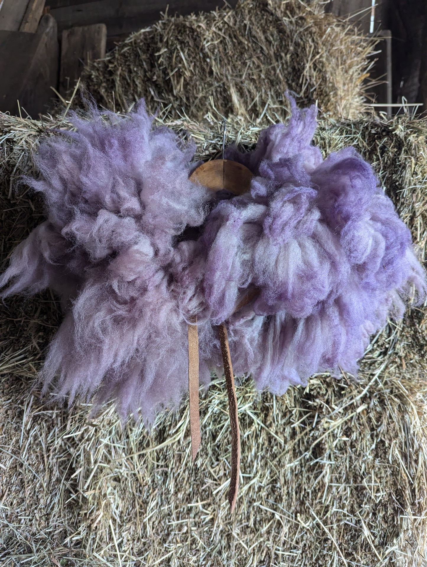 Sheepskin collar #3