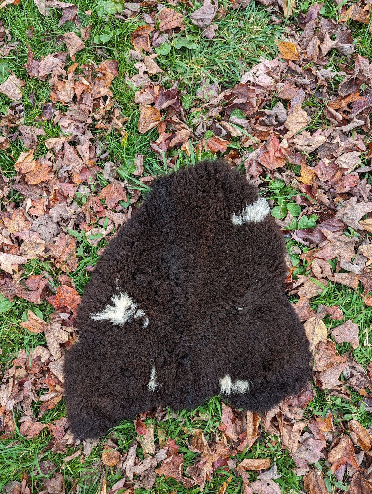 Sheepskin - small brownie