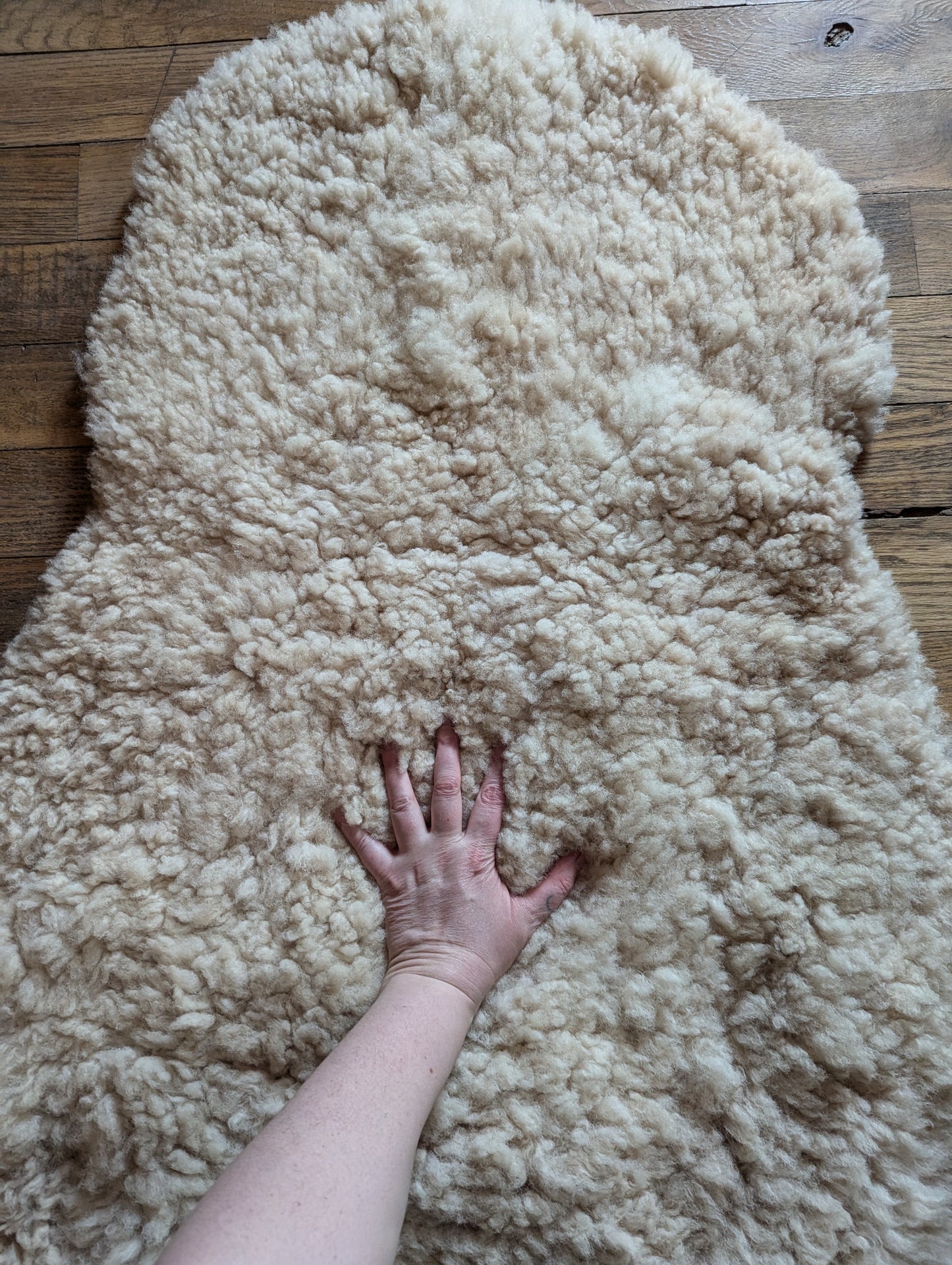 Sheepskin #5 - shearling