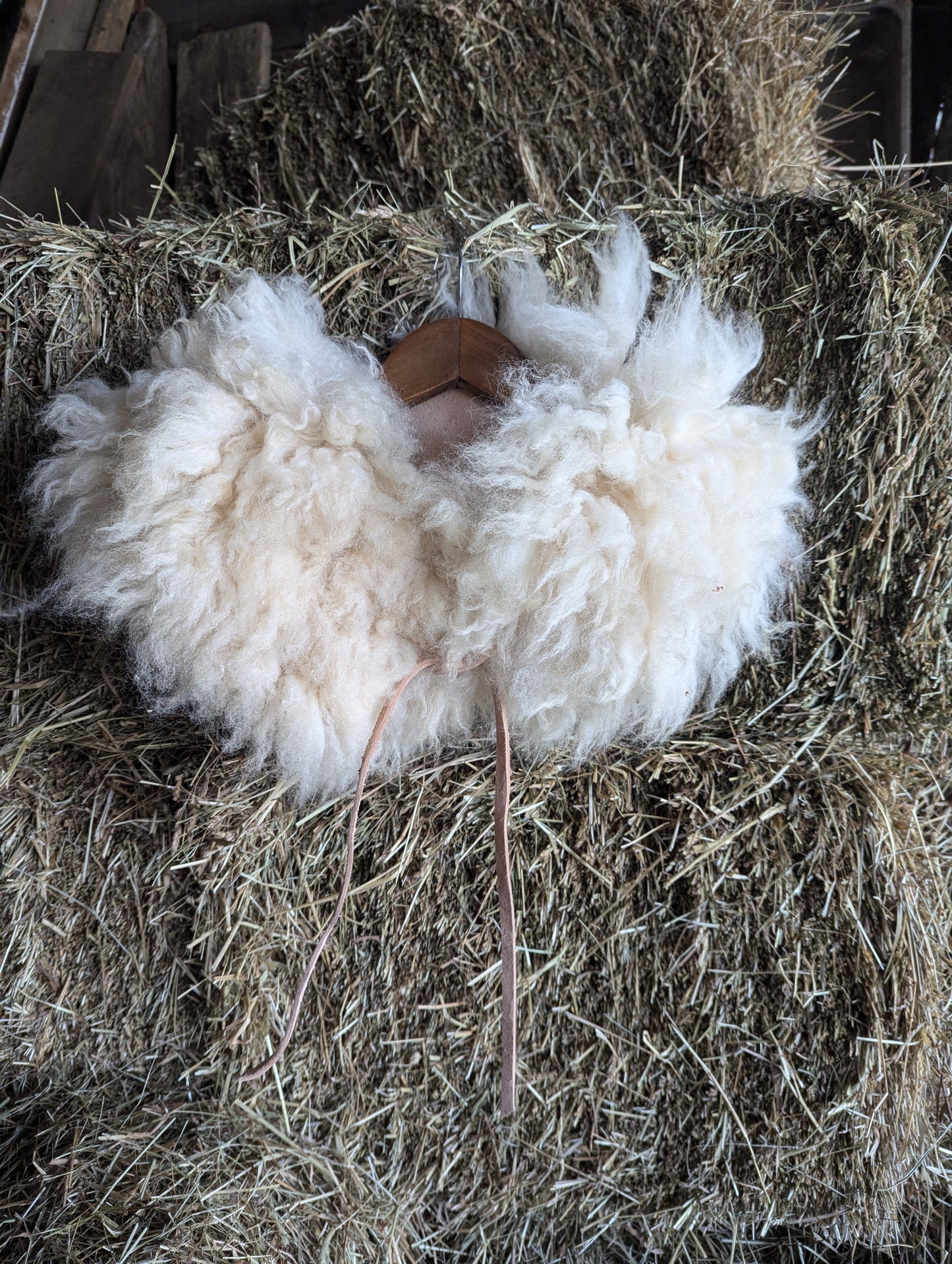 Sheepskin collar #7