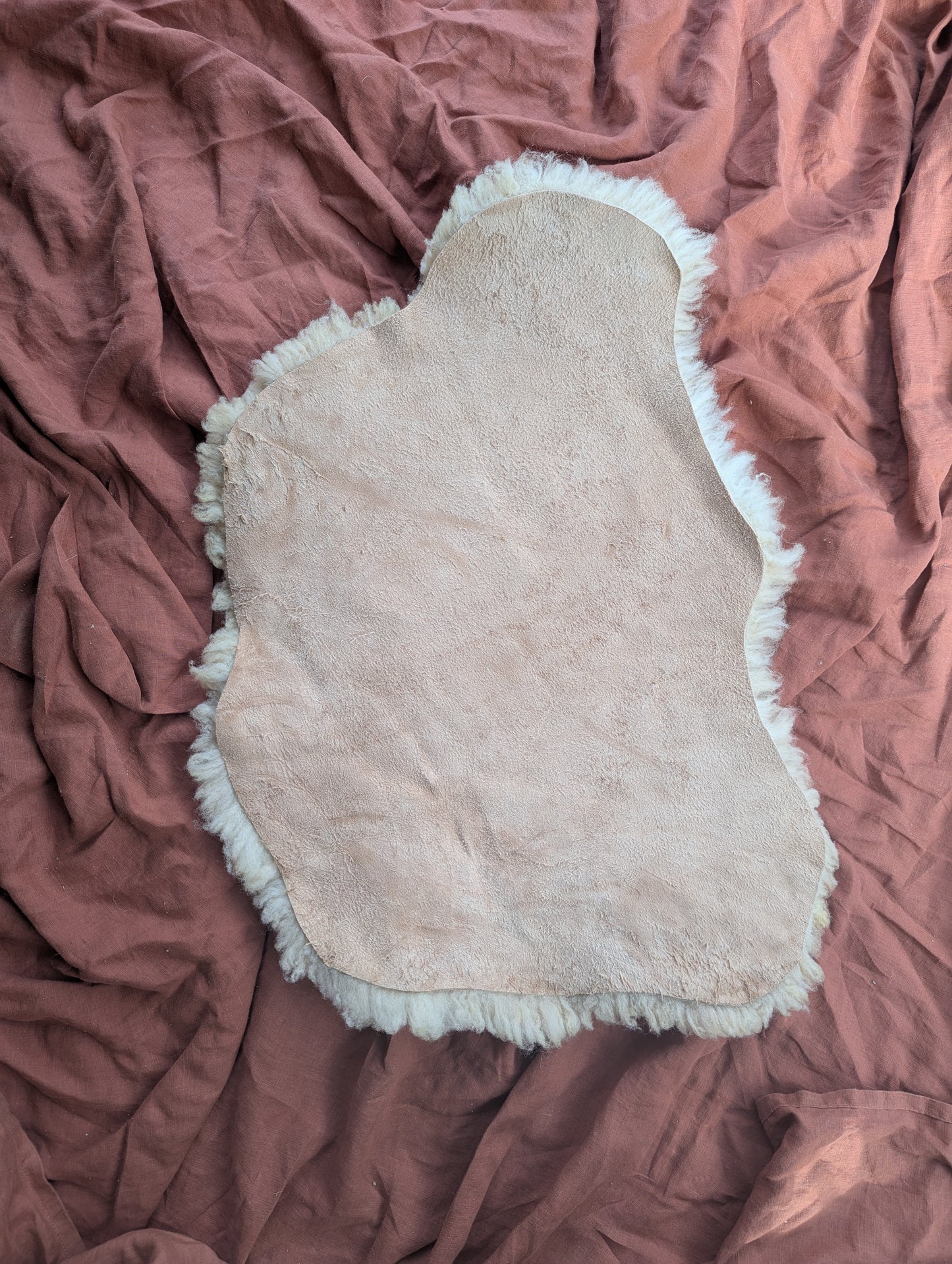 Sheepskin #1 - 16" x 24"