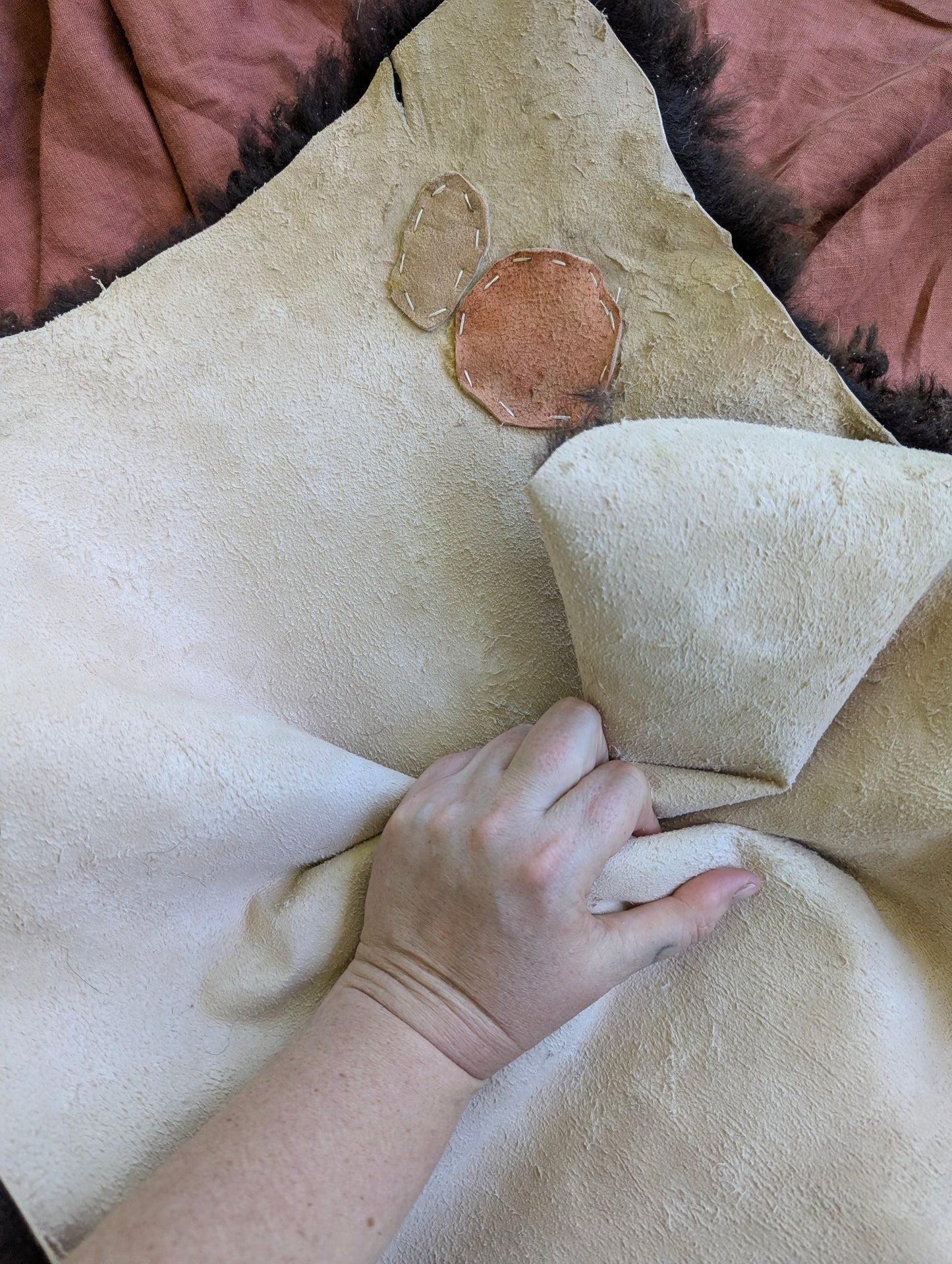 Sheepskin #4 - 18" x 27"