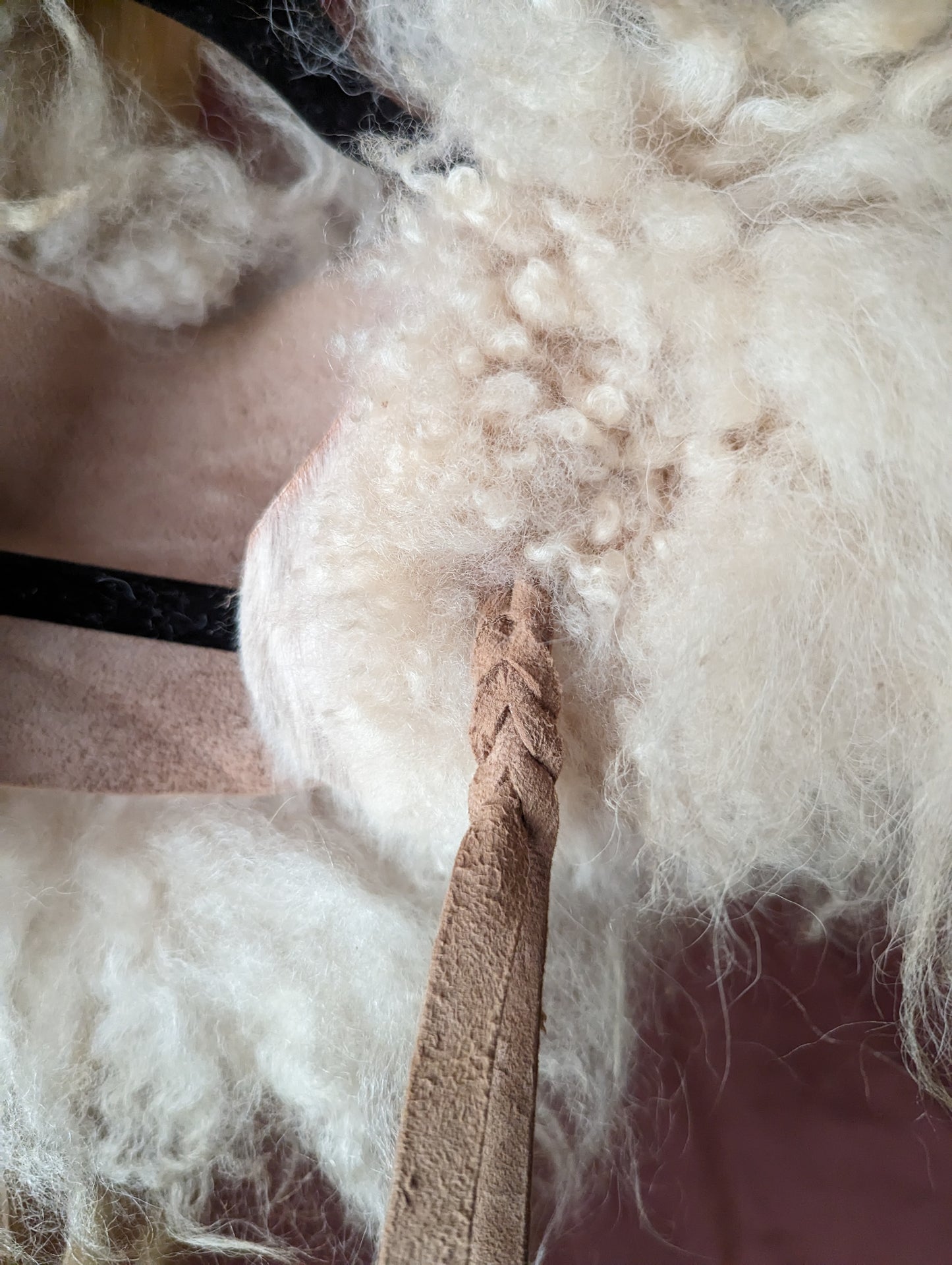 White & suede collar #5