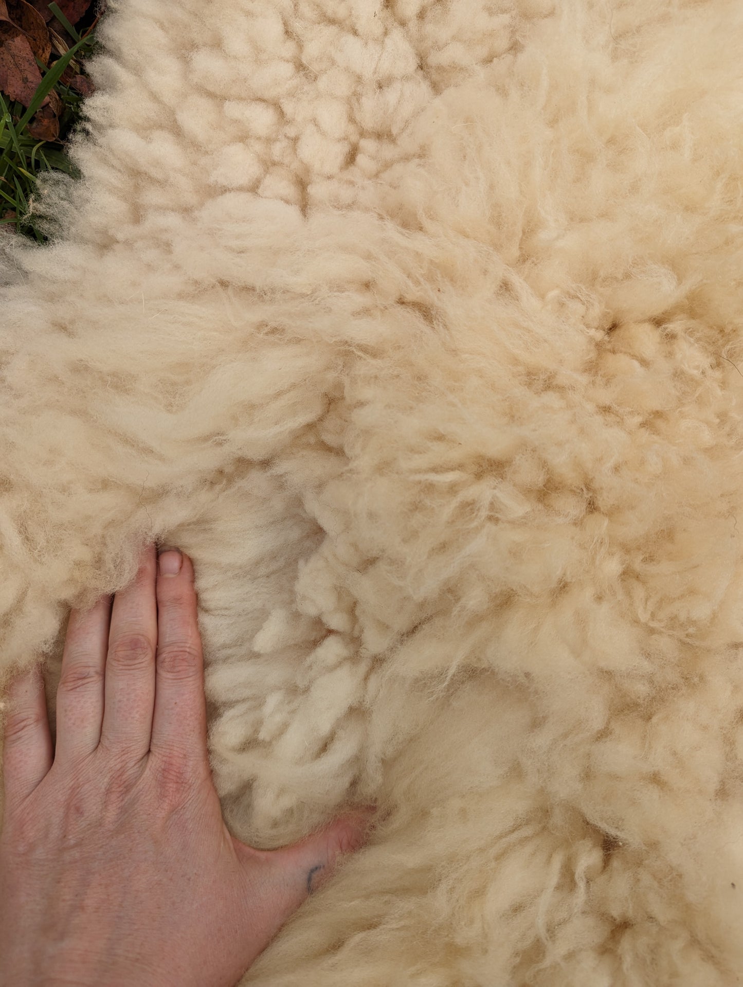 Sheepskin - funky white
