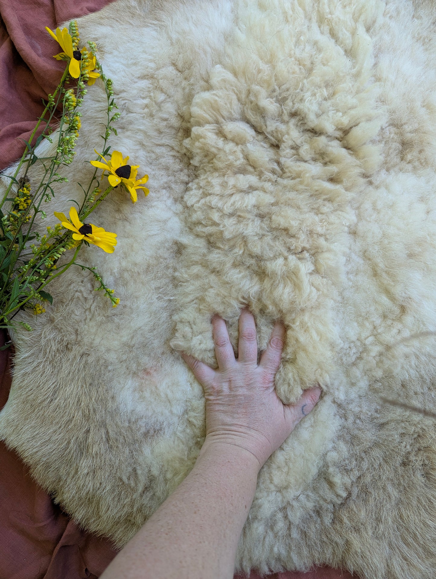 Sheepskin #2 - 21" x 32"
