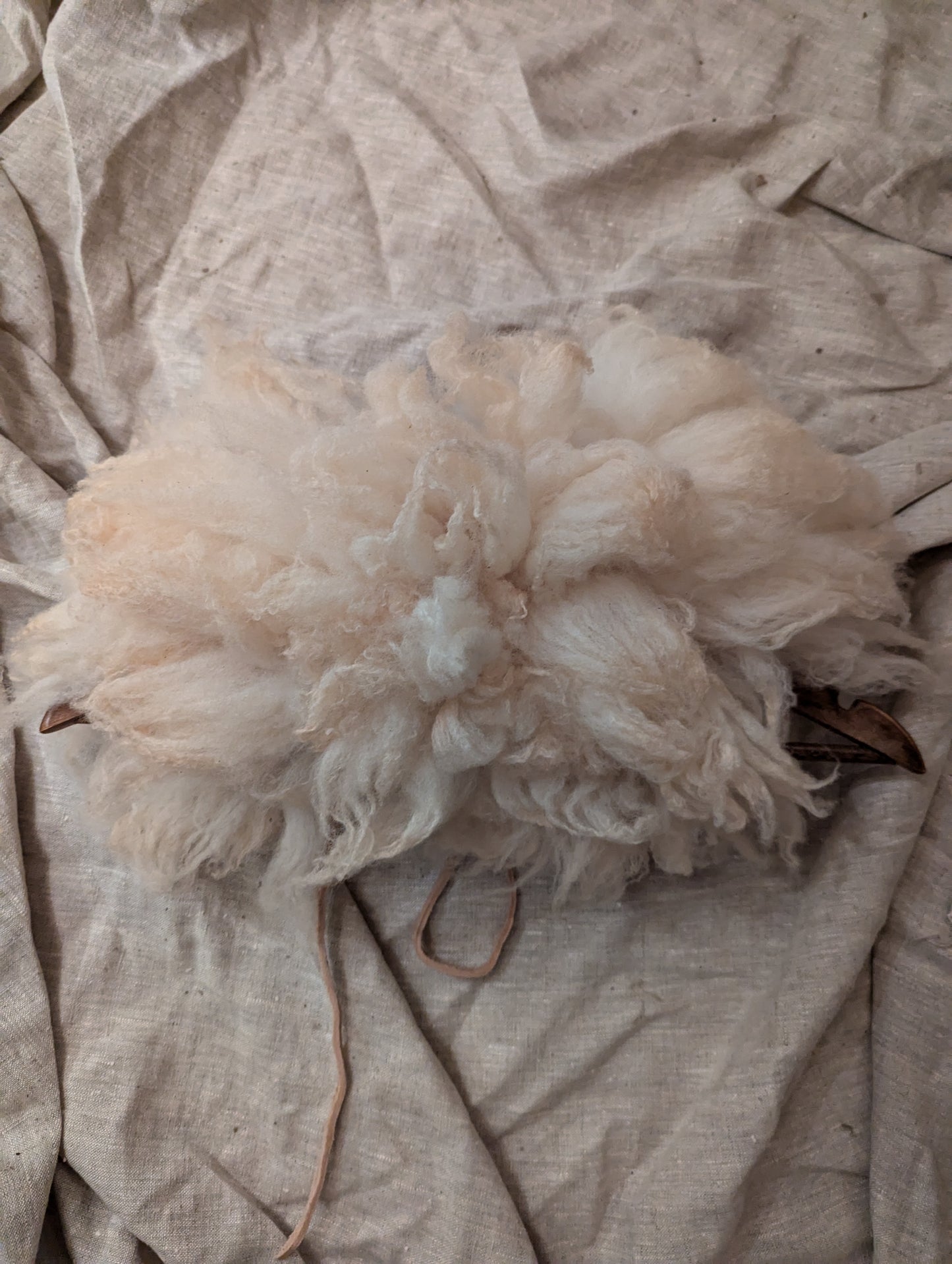 Sheepskin collar #8 - small