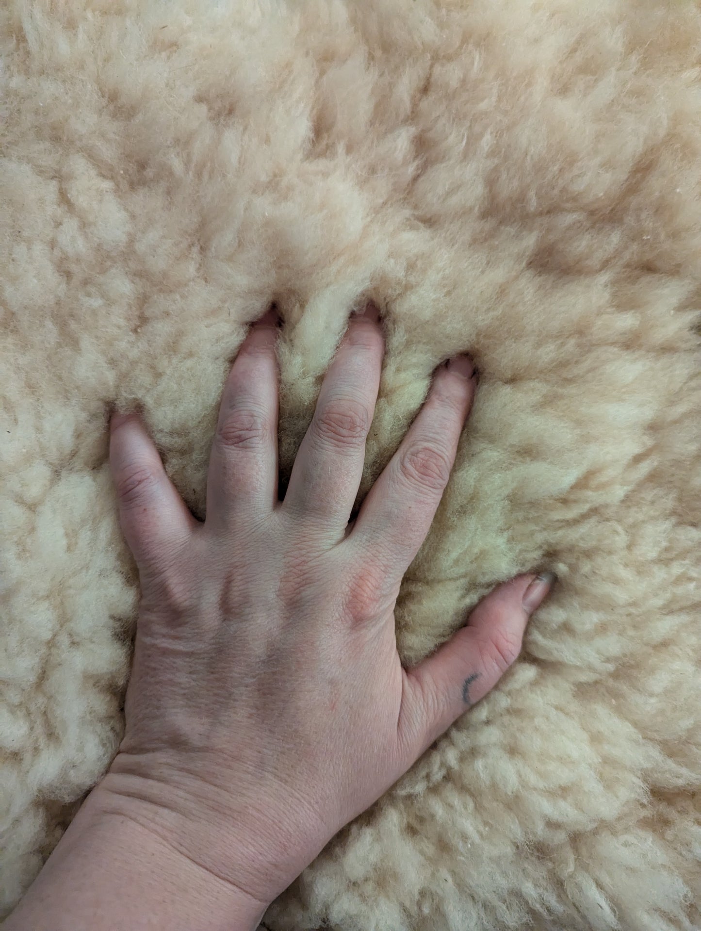 Sheepskin #4