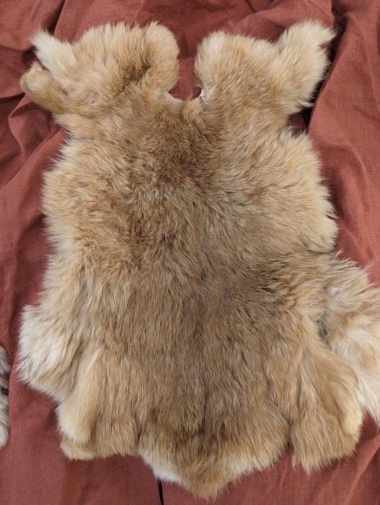 Amber rabbit fur