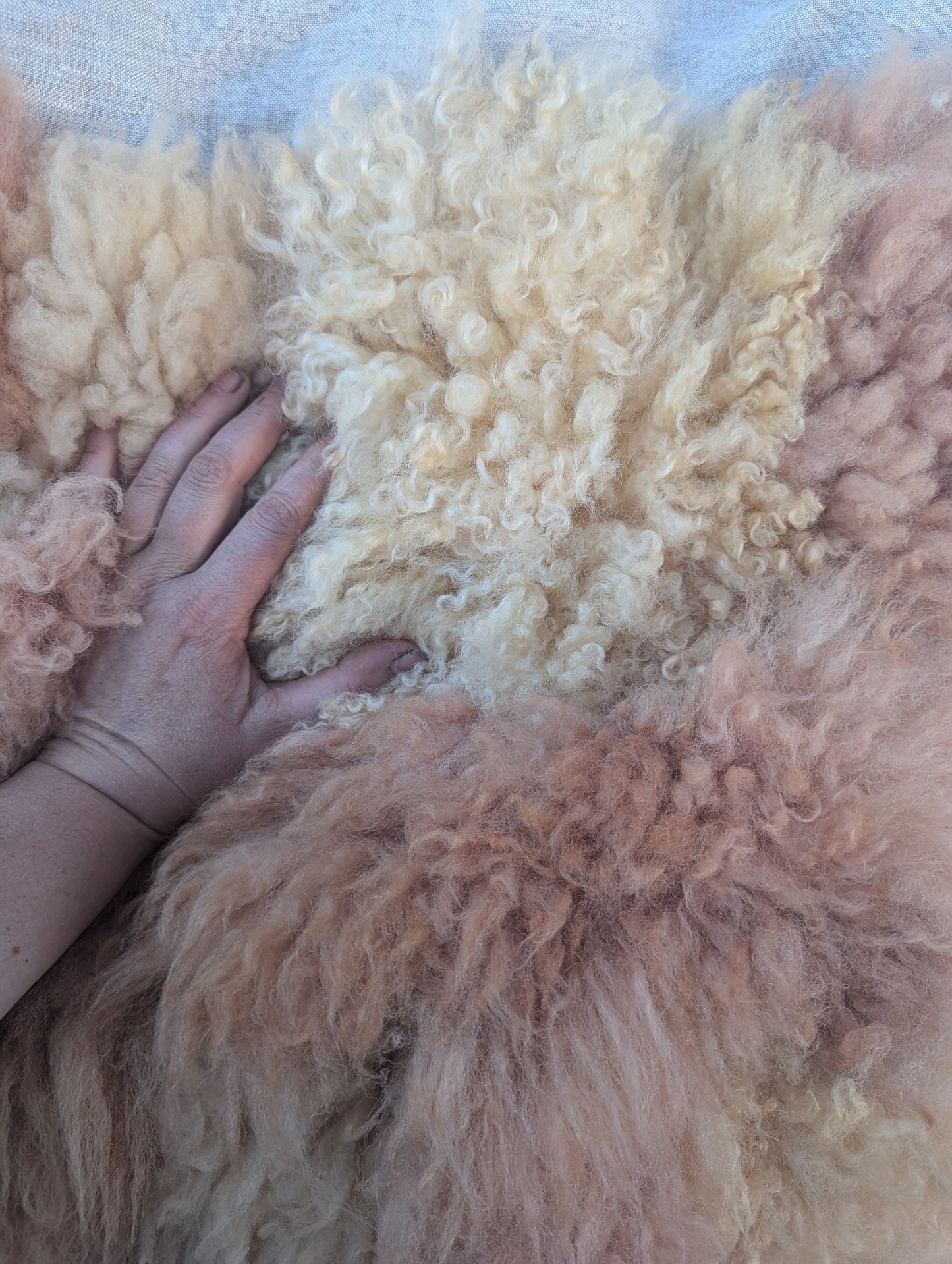 Patchwork Sheepskin #9