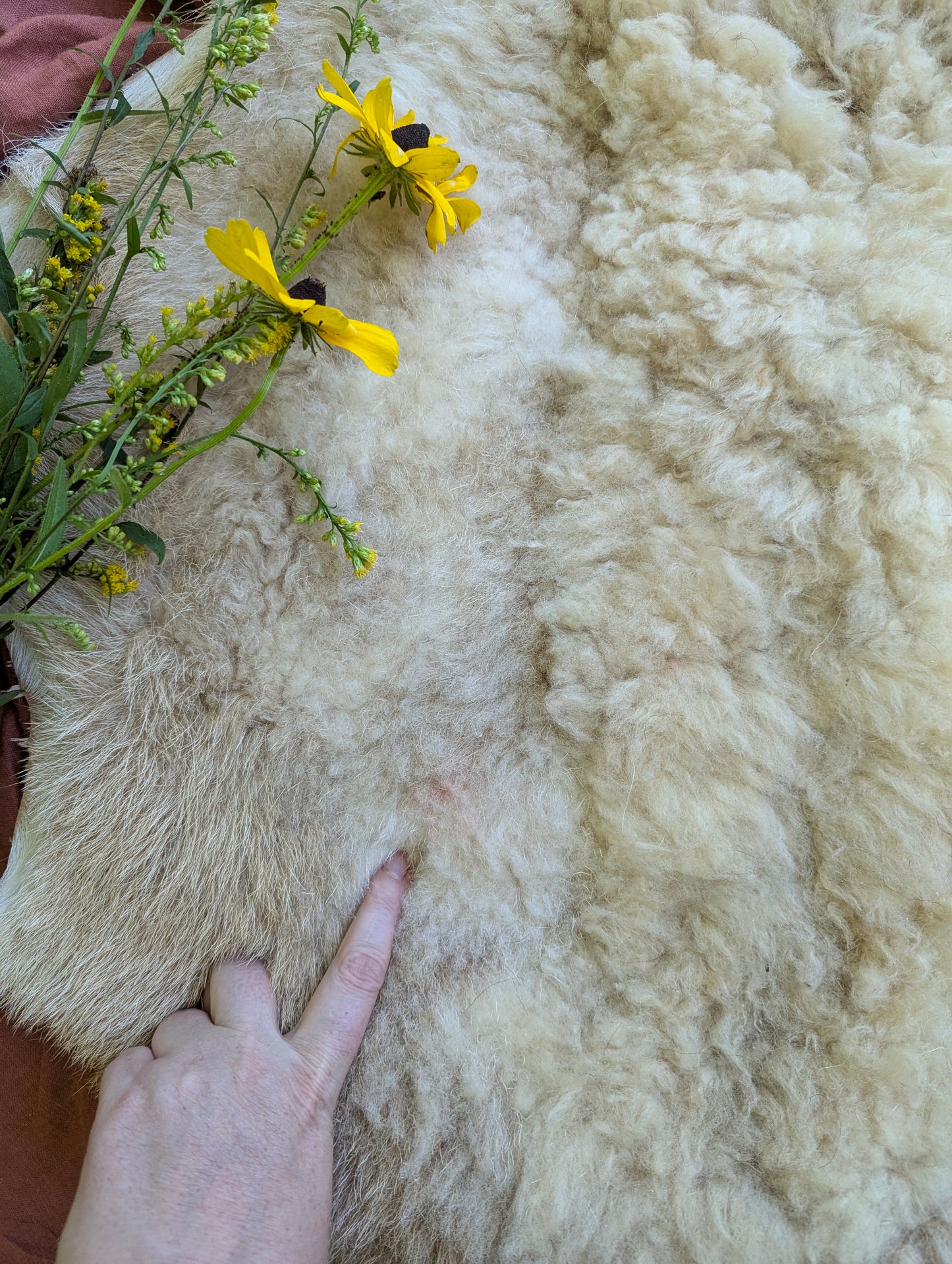Sheepskin #2 - 21" x 32"