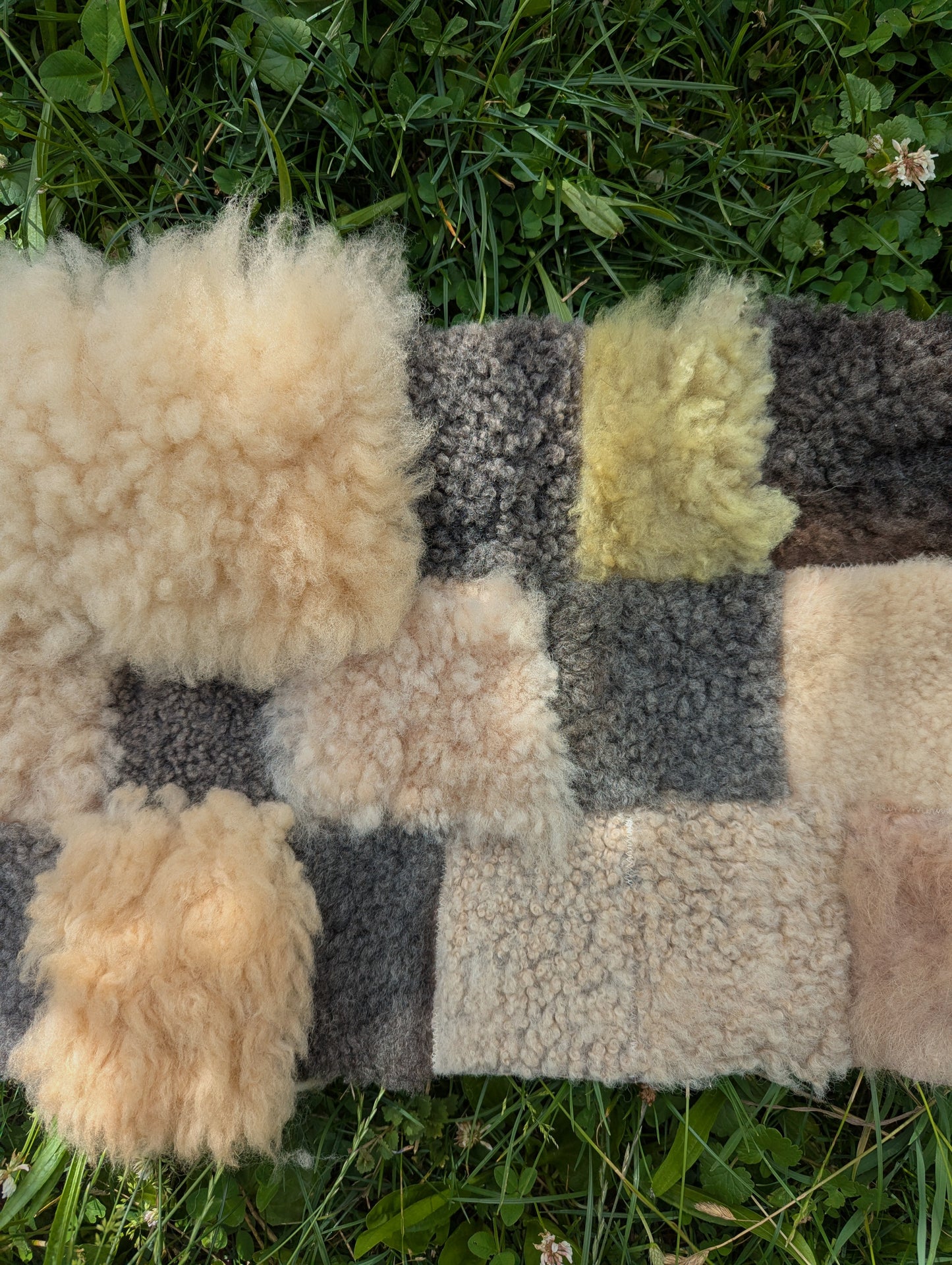 Cottontail trails - patchwork sheepskin #2
