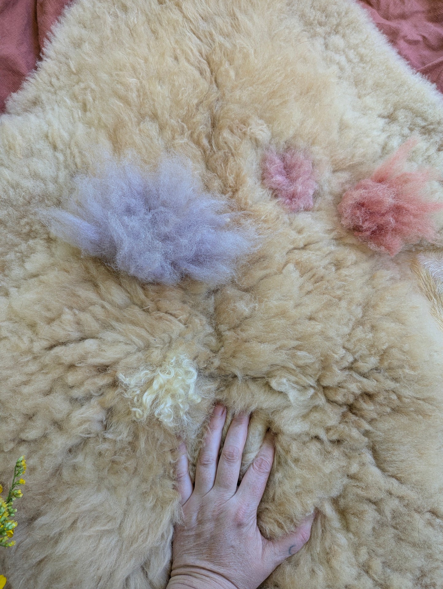 Sheepskin #6 - 18" x 28"