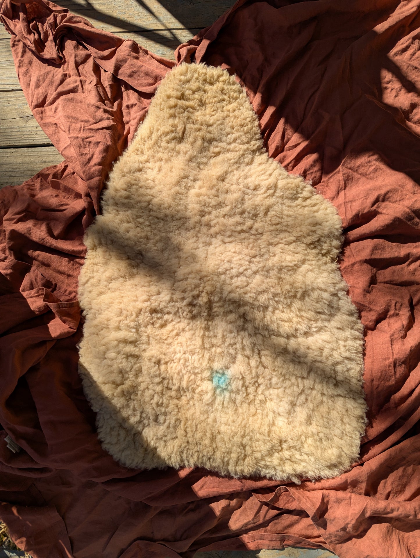 Sheepskin #5 - 22" x 34"