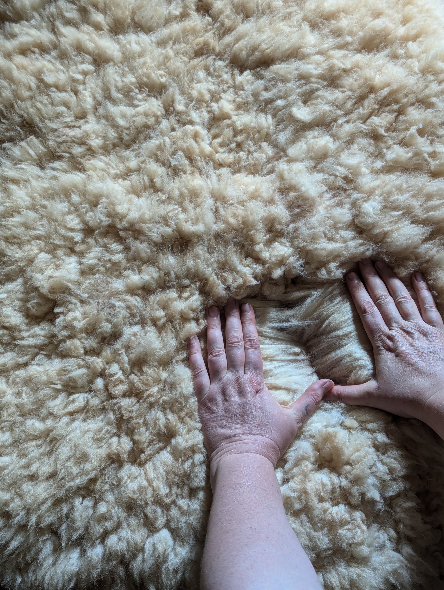 Sheepskin #2 - 22" x 30"