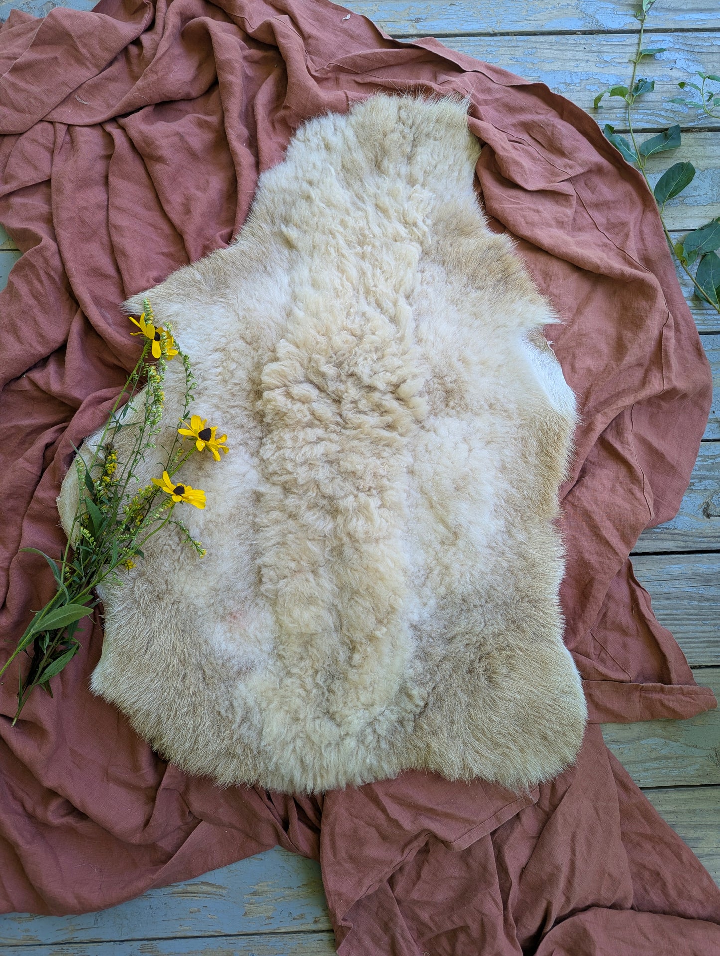 Sheepskin #2 - 21" x 32"