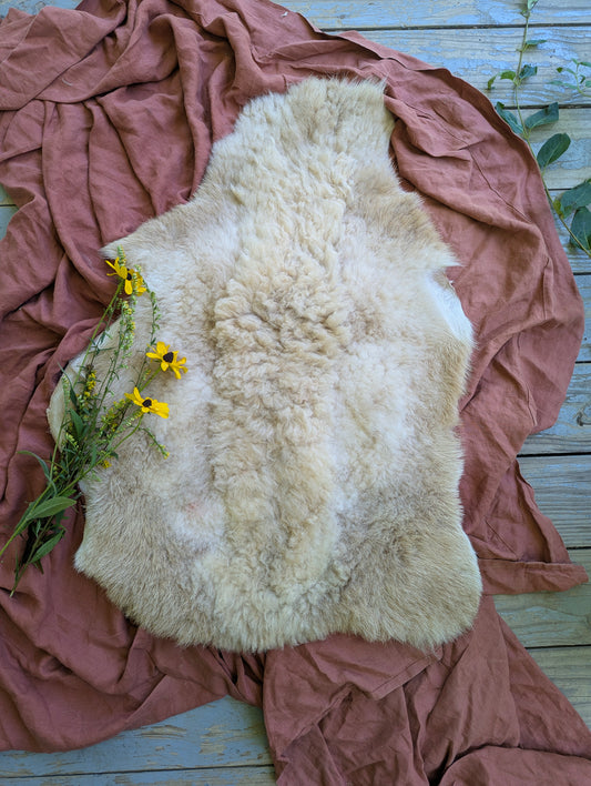 Sheepskin #2 - 21" x 32"