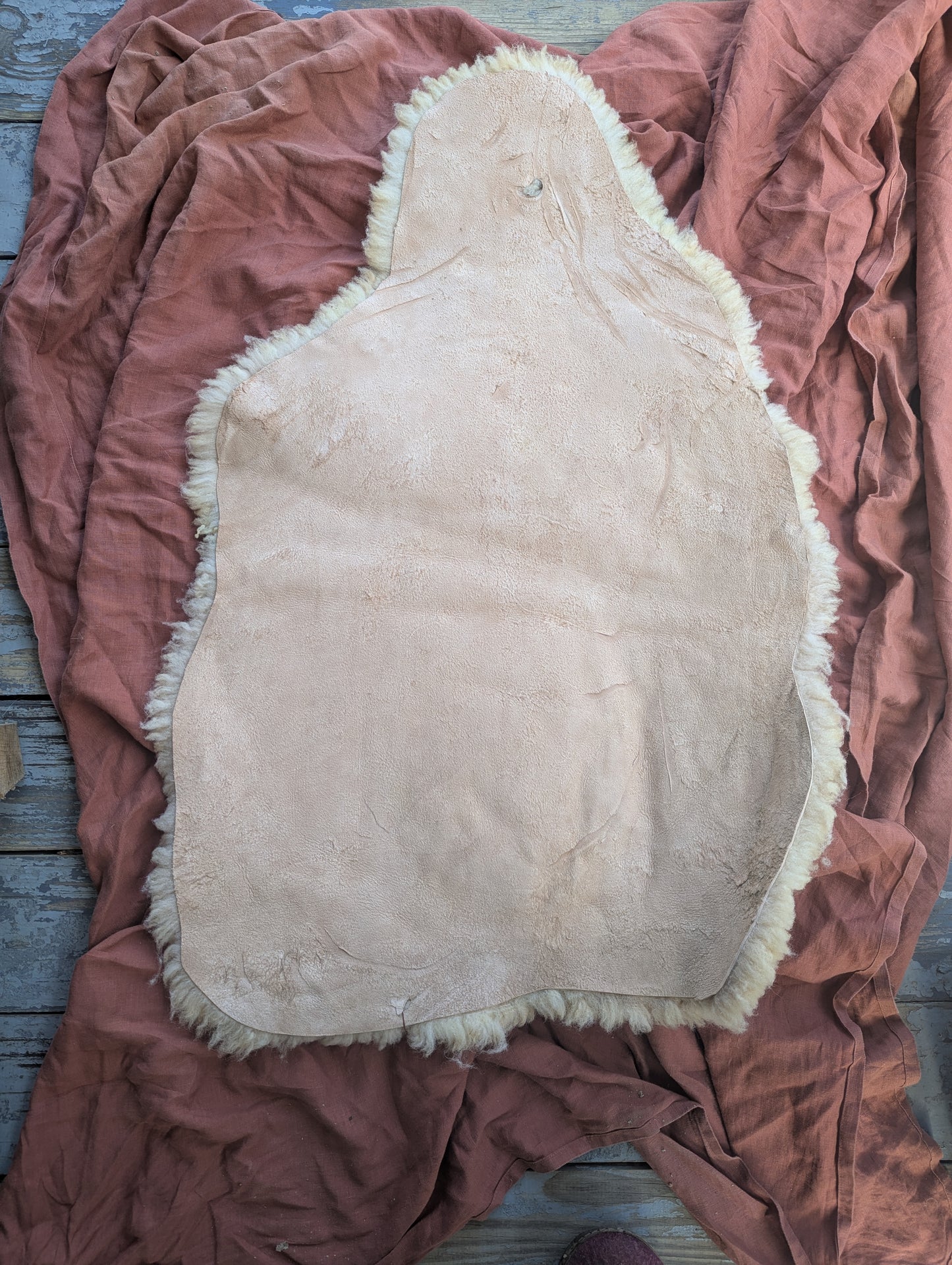 Sheepskin #5 - 22" x 34"