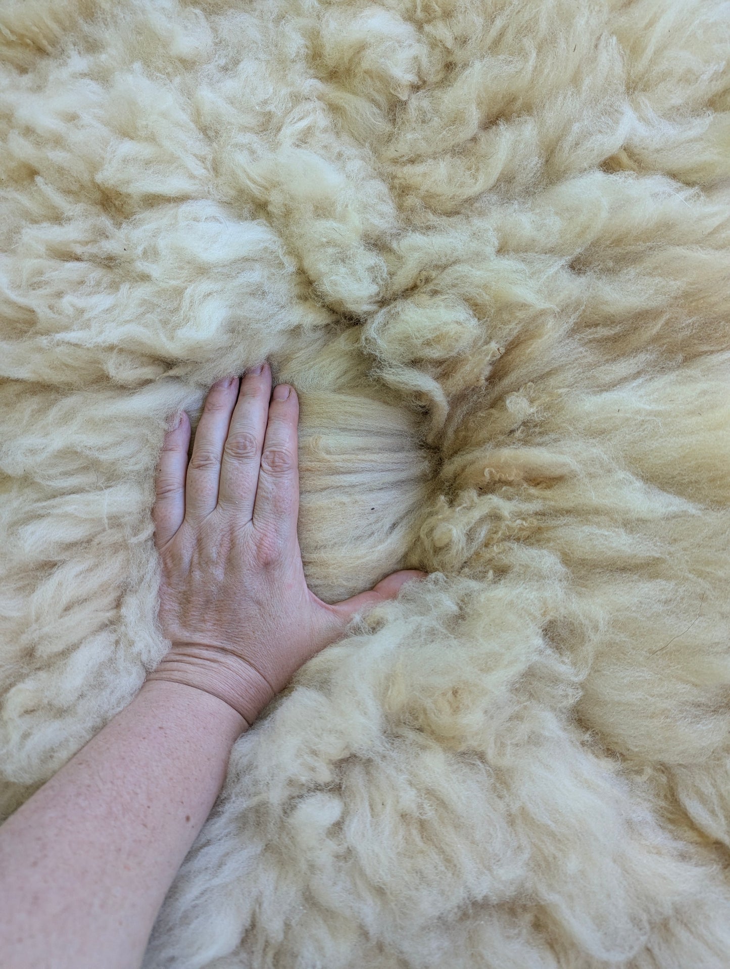 Sheepskin #1 - 20" x 34"