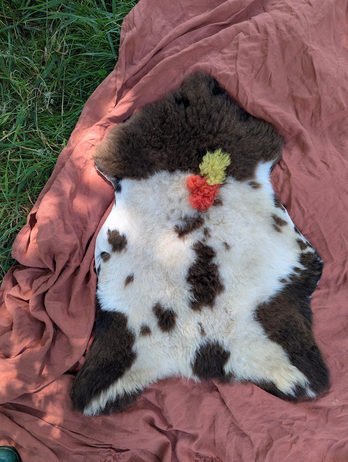 Sheepskin #5 - 20" x 29"