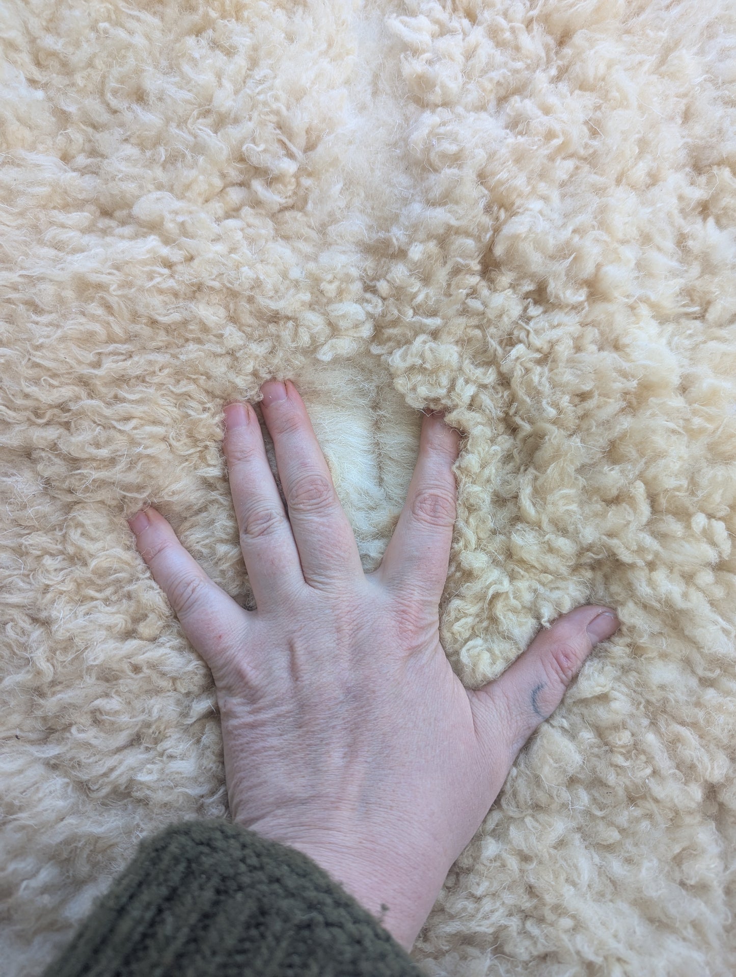 Sheepskin #4 - 23" x 27"