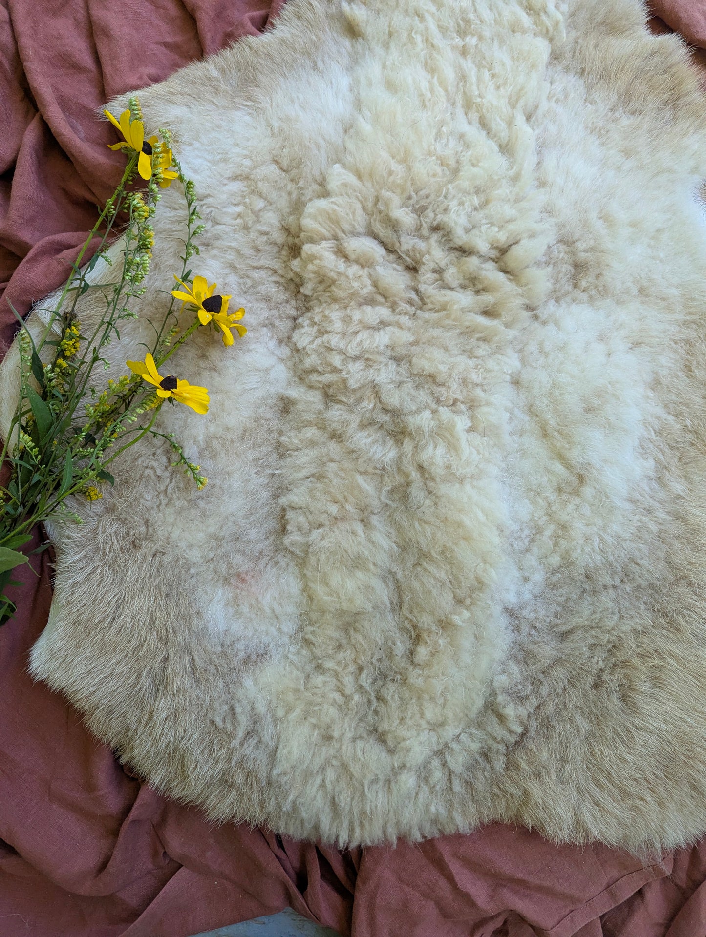 Sheepskin #2 - 21" x 32"