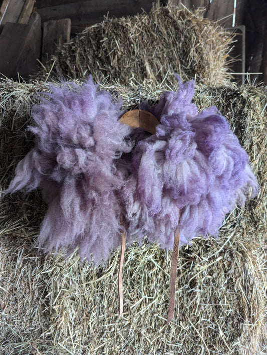 Sheepskin collar #3