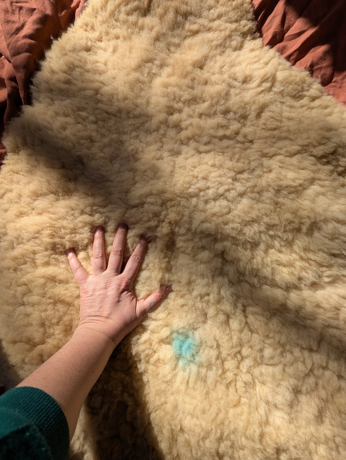 Sheepskin #5 - 22" x 34"