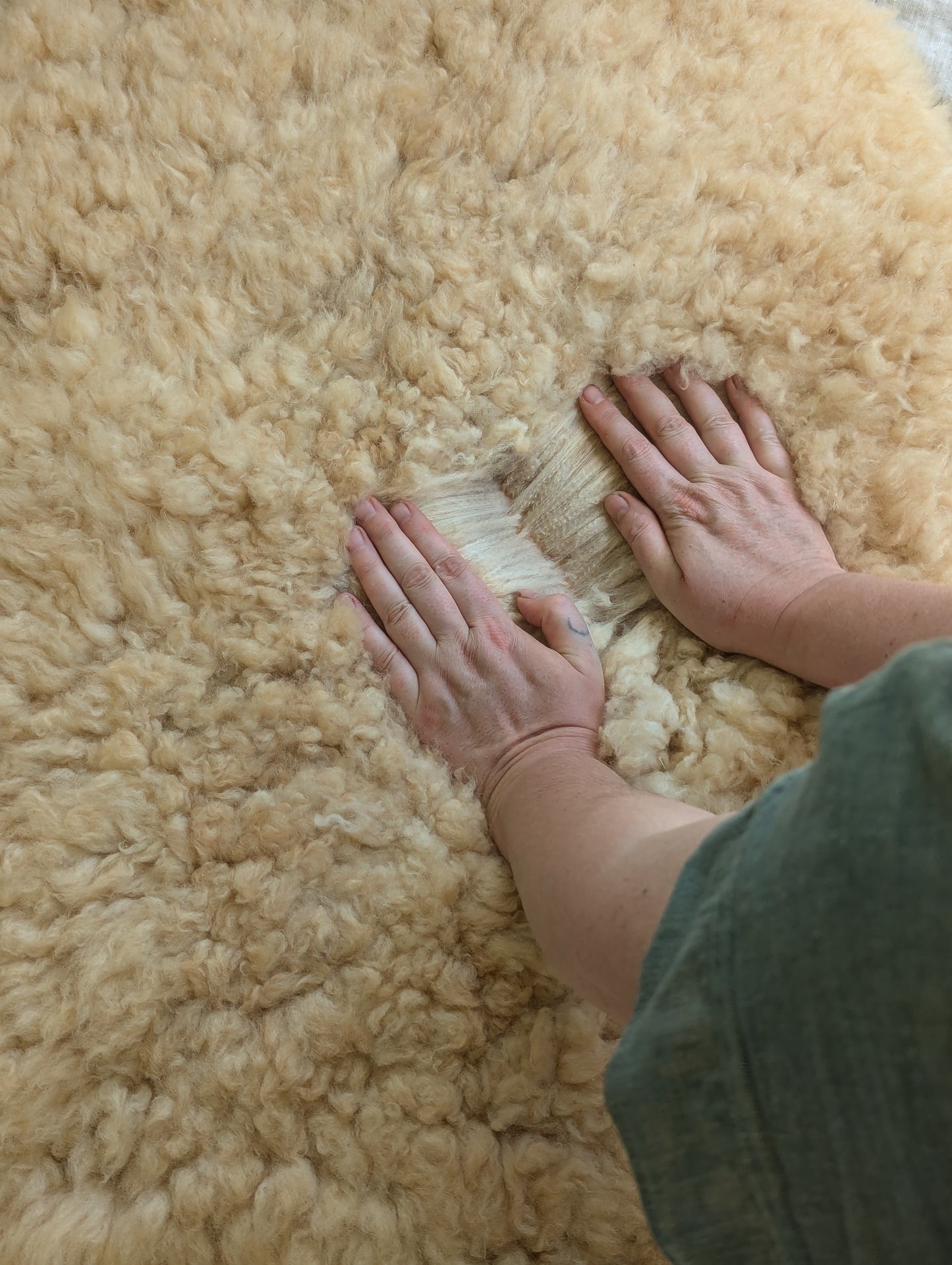 Sheepskin #2 - 22" x 30"
